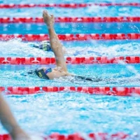 Commercial Swimming Pools 0